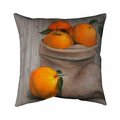 Begin Home Decor 26 x 26 in. Bag of Oranges-Double Sided Print Indoor Pillow 5541-2626-GA63